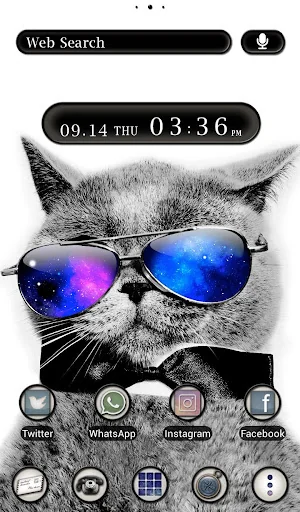 Cool Cat x Galaxy Theme