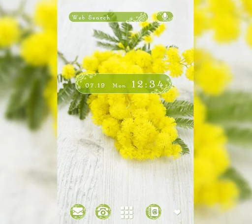 Cute Theme-Mimosa Flowers-