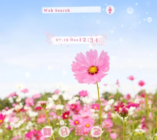 Pink Cosmos Theme +HOME