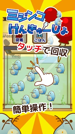 [ミジけん]　ミジンコけんきゅーじょ　〜放置・育成ゲーム〜