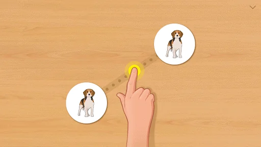 Animal Card Matching