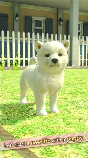 with My DOG