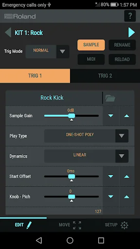 TM-1 Editor