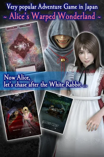 Alice’s Warped Wonderland