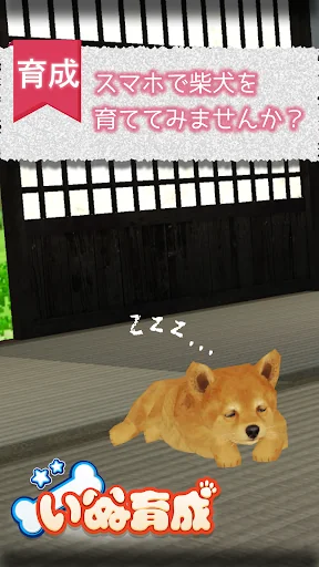 Shibainu Simulation Game 3D