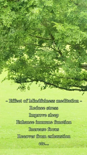 3min. Mindfulness Timer