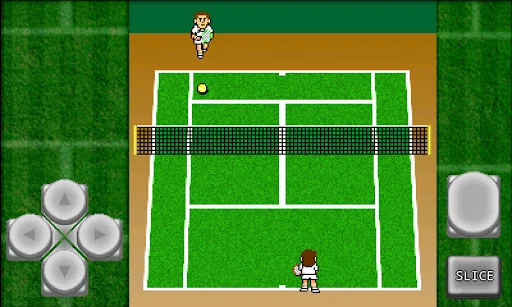 Gachinko Tennis screenshot 1