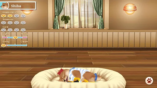 My Dog My Style screenshot 4