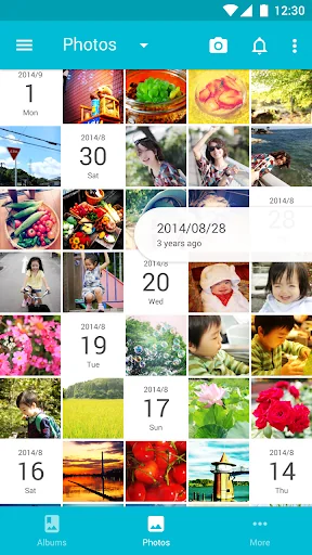 Scene: Organize & Share Photos screenshot 1