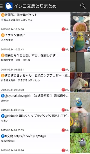 インコ・文鳥・とり・まとめ