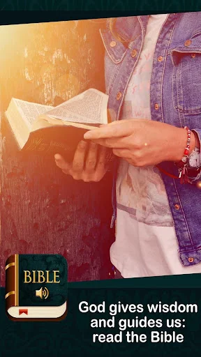KJV Audio Bible offline screenshot 1