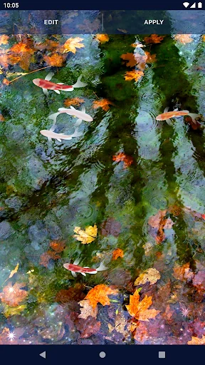 Fish 4K HD Koi Live Pond 3D screenshot 4