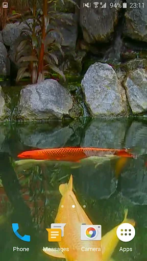 Koi Fish Video Wallpaper 3D screenshot 3