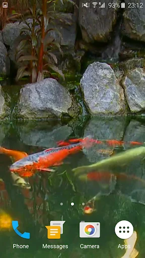 Koi Fish Video Wallpaper 3D screenshot 4