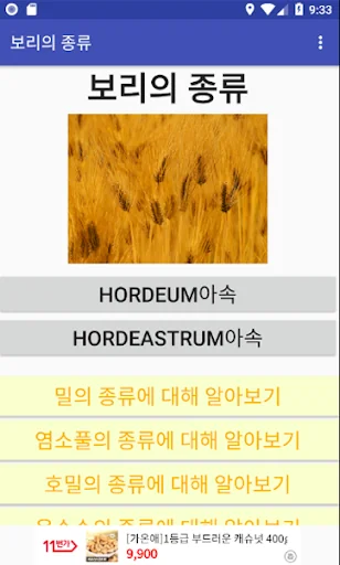 보리의 종류