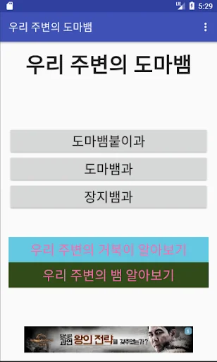 우리 주변의 도마뱀