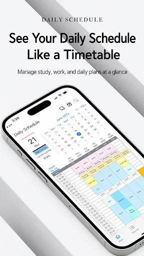 Daily Schedule - Timetable