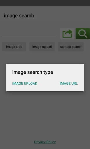 image search for google screenshot 2