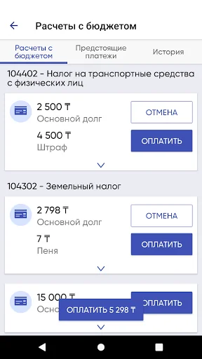 e-Salyq Azamat screenshot 4