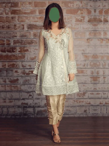 Women Traditional Party Wears