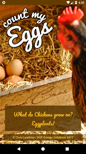 Count My Eggs
