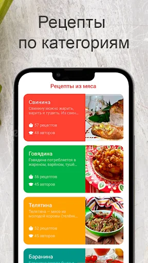 Рецепты из мяса screenshot 2