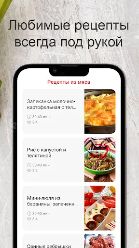 Рецепты из мяса screenshot 4