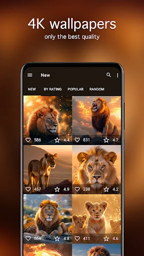 Lion Wallpapers 4K screenshot 2