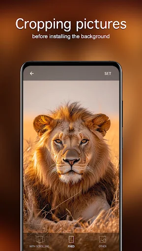 Lion Wallpapers 4K screenshot 4