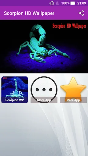 Scorpion Hd Wallpaper
