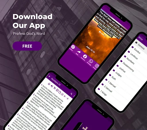 Lutheran Bible offline audio screenshot 4