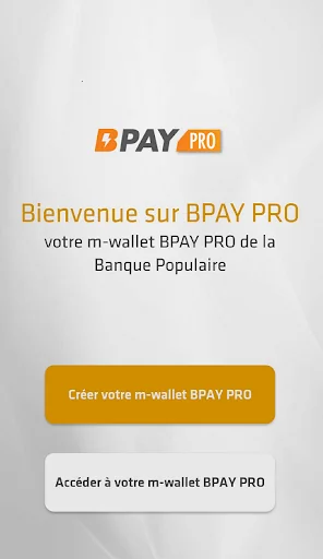 BPAY PRO