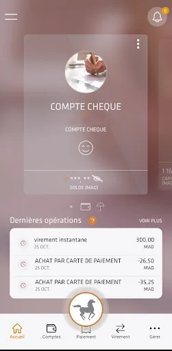 Pocket Bank screenshot 2