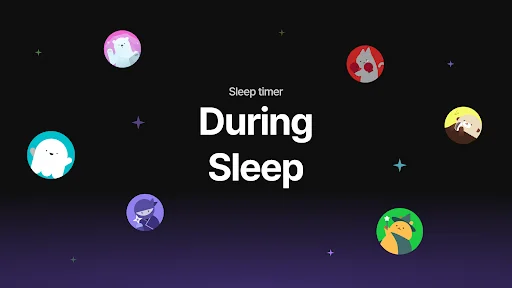 Sleep Timer - During sleep