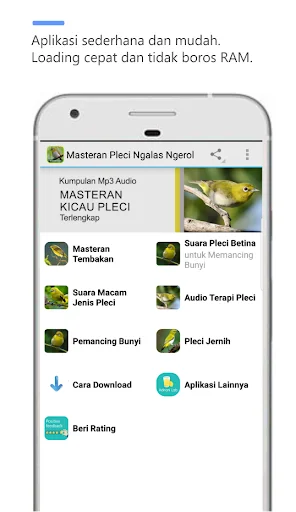 Masteran Pleci Full Isian