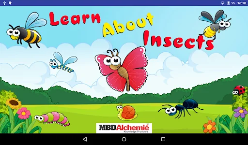 Learn About Insects