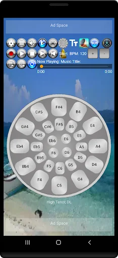 Musical Steel Drums screenshot 1