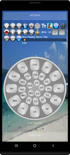 Musical Steel Drums screenshot 2
