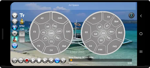 Musical Steel Drums screenshot 4