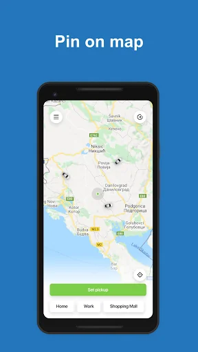 TeslaGoApp: electric car rides