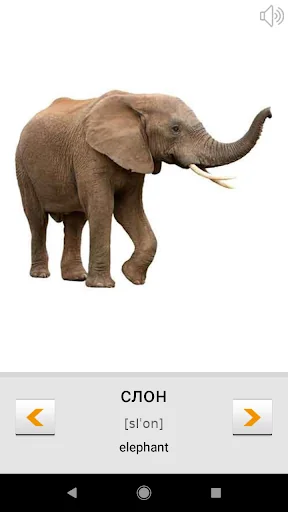 Learn Russian words with ST screenshot 3