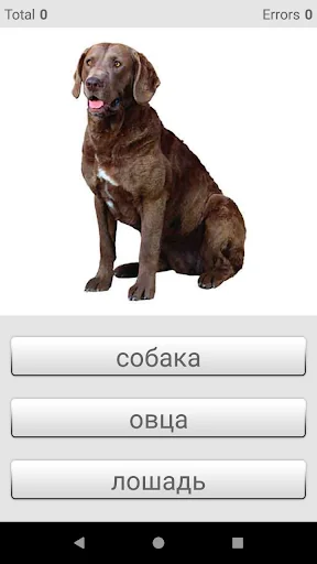 Learn Russian words with ST screenshot 4