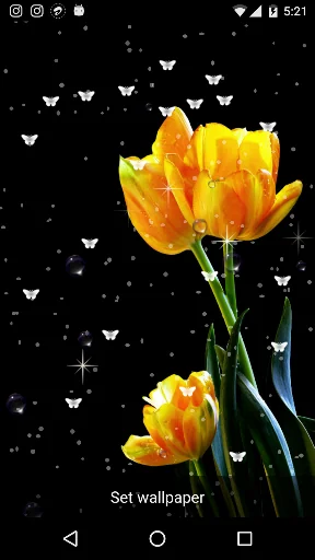 HD Flowers Live Wallpaper
