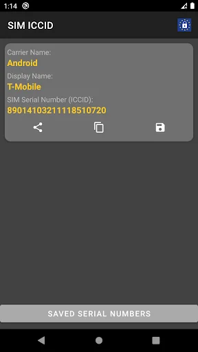 SIM Serial Number - ICCID