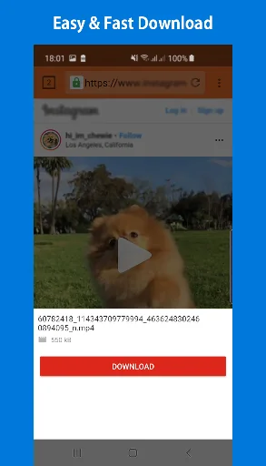 Video Downloader Pro & Browser screenshot 3