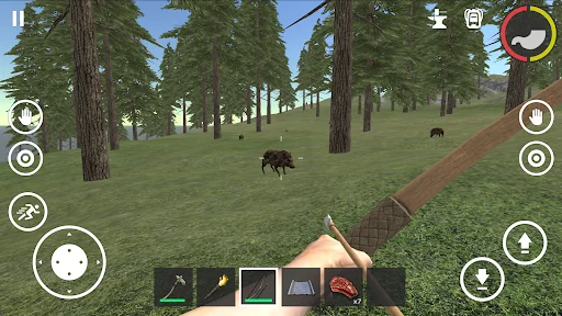 Forest Survival