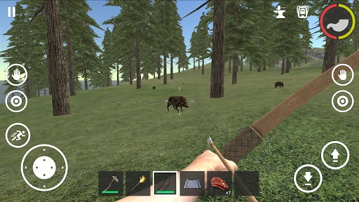 Forest Survival