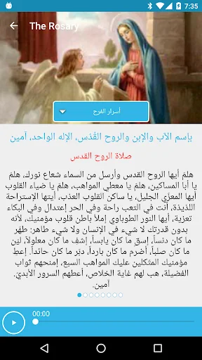 Sancta Maria Network screenshot 4