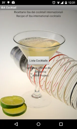 IBA Cocktail screenshot 1