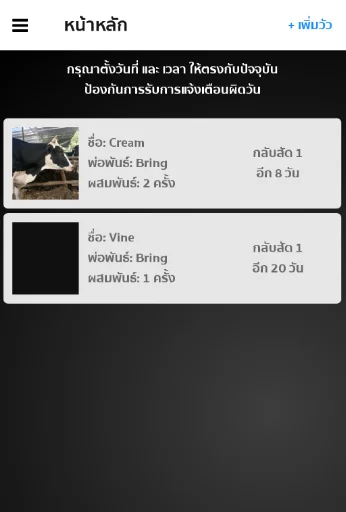 คนเลี้ยงวัว screenshot 2